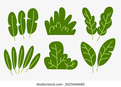 Set of tropical leaves element design for art composition 