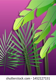 Set of tropical leaves. EPS10 vector. - Vector graphics