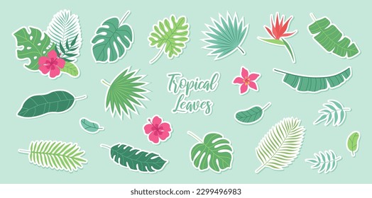 Set von tropischen Blättern und exotischen Blumen. Palme, Bananenblätter, Hibiskus, Pflaumen, Paradies. Bouquets mit tropischen Blumen. Vektorflache Cartoon-Illustration.