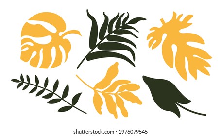 Set of tropical leaves in a flat style. Vector illustration. 