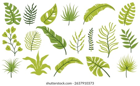 Set of tropical leaves and floral elements like palm, monstera, twigs, and branches in flat cartoon style. Bright and decorative collection for summer design, nature themes, or invitations.