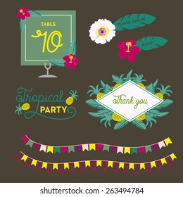 Set with tropical leaves, flower and fruits on brown background. These elements can be used for a party. Vector and illustration design.