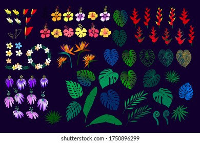Set of Tropical leaves and flower. Plant Monstera, palm, fern leaves. Floral Plumeria, Strelitzia, Heliconia, Hibiscus, Passion fruit hand drawn vector illustration