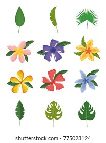 set of tropical leaves and flowers design