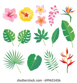 Set of tropical leaves and flowers isolated on white background