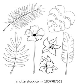 Set of tropical leaves and flowers. Line art. Minimalism. Stencil. Coloring. Isolated vector illustration.