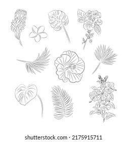 Set of tropical leaves and flowers line art vector illustrations. Hibiscus, plumeria, palm leaf, monstera leaf,  hand drawn black ink illustrations. Trendy modern jewelry, tattoo, wall art design.