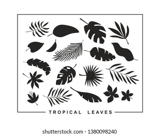 Set of tropical leaves and flowers for modern surface design. Vector floral collection in black and white style.