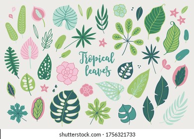 Set of tropical leaves and flowers - monstera, palm, ficus, plumeria, succulents, caladium, strelitzia, schefflera, aralia on beige background. Perfect for summer greeting cards. Vector illustration