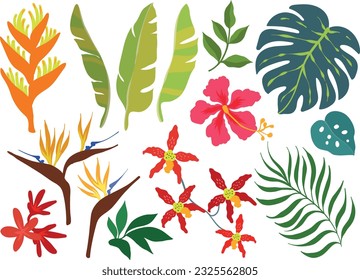 Set tropical leaves 