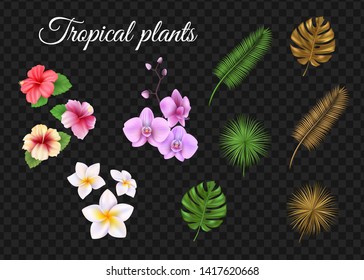 Set of tropical leaves and flowers. Plumeria, hibiscus and orchid. Vector illustration