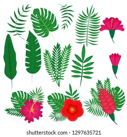 Set of tropical leaves and flowers, vector illustration