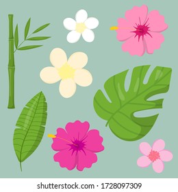 Set of tropical leaves and flowers vector elements isolated one white