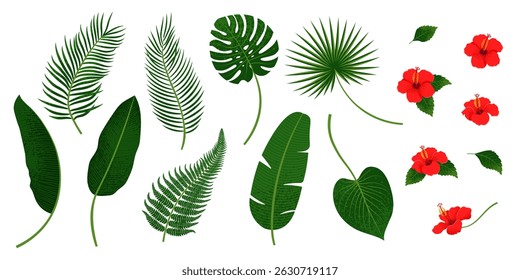 Conjunto de folhas e flores tropicais. Ilustração vetorial em estilo estilizado à mão na moda