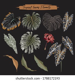 Set of Tropical leaves foliage botanical vector elements collection ,on black background color vector EPS 10