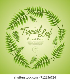 Set of Tropical Leaves : Forest Fern : Vector Illustration