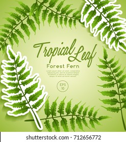 Set of Tropical Leaves : Forest Fern : Vector Illustration - Shutterstock ID 712656772