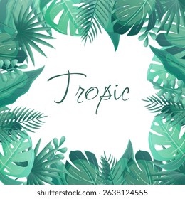 A set of tropical leaves in the form of a frame on a white background. Palm leaves, bananas, monstera, tamarind, calathea. Vector illustrations for posters, banners, flyers and covers