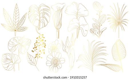 Set of tropical leaves in gold color, isolated on white background. Palm leaves, fan, banana, coconut palm leaves. Vector illustration
