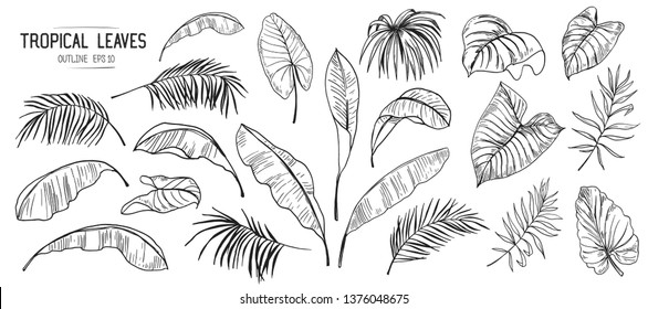 Set of tropical leaves. Hand drawn sketches traced in vector