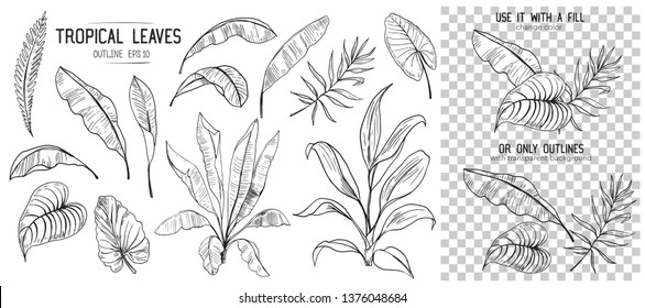 Set of tropical leaves. Hand drawn sketches traced in vector