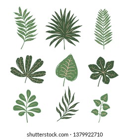 Set of tropical leaves. Hand drawn vector elements
