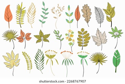 Set tropical leaves hand drawn flat illustrations. Exotic plants sketch cliparts collection, Set of hand drawn uneven herbs and leaves