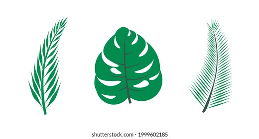 Set of tropical leaves. Hibiscus aloha branch leaf collection	
