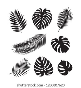 Set of tropical leaves. Isolated black silhouettes of leaves on a white background. Sketch, design elements. Vector.