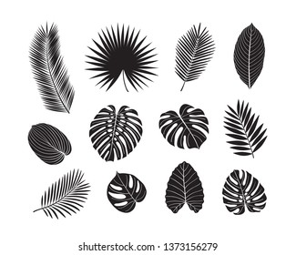 Set of tropical leaves. Isolated black silhouettes of leaves. Sketch, design elements. Vector.