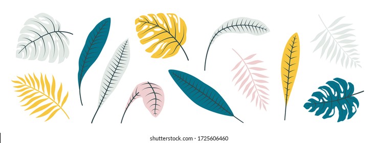 Set of tropical leaves isolated on white background