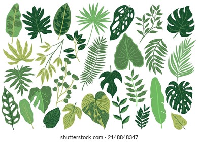 Set of tropical leaves isolated on white background. Vector graphics.