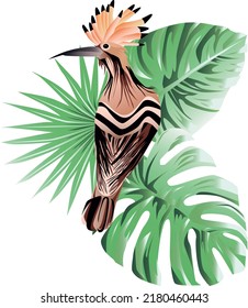 Set of tropical leaves isolated on white background. Beautiful tropical exotic foliage and tropical bird
