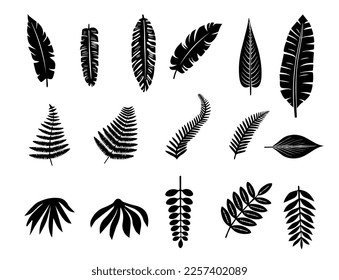 Set of Tropical leaves isolated on white background.