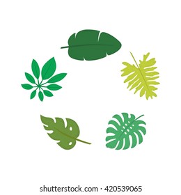 Set of tropical leaves. Isolated on white. 