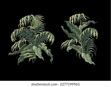 Set of the tropical leaves isolated. Vector