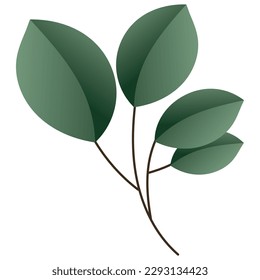 Set Tropical leaves , Jungle palms forest flora nature, Flat Modern design ,isolated on white background  illustration Vector