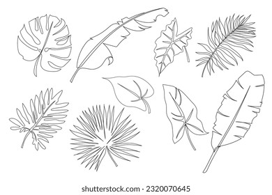 Set of tropical leaves. Line art. Leaves of palm, banana, monstera, philodendron, alocasia and anthurium. Hand drawn in doodle style with black continuous line. Isolated vector.