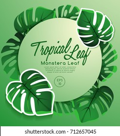 Set of Tropical Leaves : Monstera Leaf : Vector Illustration