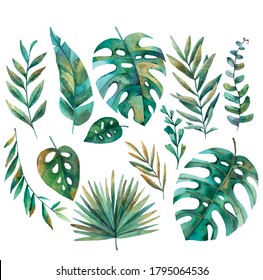 conjunto de hojas tropicales, monstera, palma en vector, acuarela ilustración sobre fondo blanco