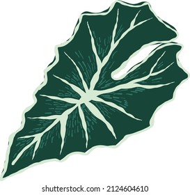 Set of tropical leaves on isolated white background. Alocasia leaves in vector.