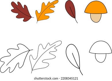 Set of tropical leaves on an isolated white background. Botanical tree branches, palm leaf on the stem. Spring summer leaf. Concept design logo icons. Vector illustration. Mushrooms.
