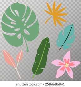 set of tropical leaves on white background	