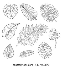 Set Tropical Leaves Outline Drawing Vector Stock Vector (Royalty Free