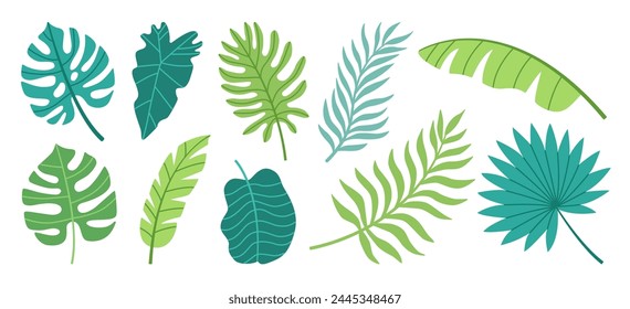 Conjunto de hojas tropicales. Palma, hoja de plátano, monstruos, alquimia. Ilustración vectorial plana.