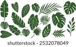 Set of tropical leaves and palm fronds vector illustration.