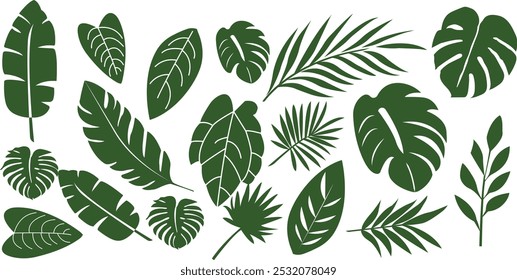 Set of tropical leaves and palm fronds vector illustration.