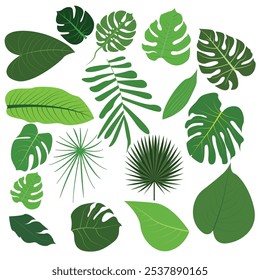Conjunto de folhas tropicais e frondes de palma ilustração do vetor de folha.