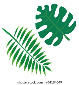 Set of tropical leaves palm and monsters on white background vector illustration 
