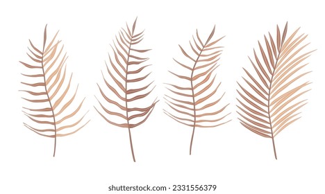 Set of tropical leaves of palm tree. Exotic boho collection of earth tone colors plants. Hand drawn botanical vector illustration elements isolated on white background